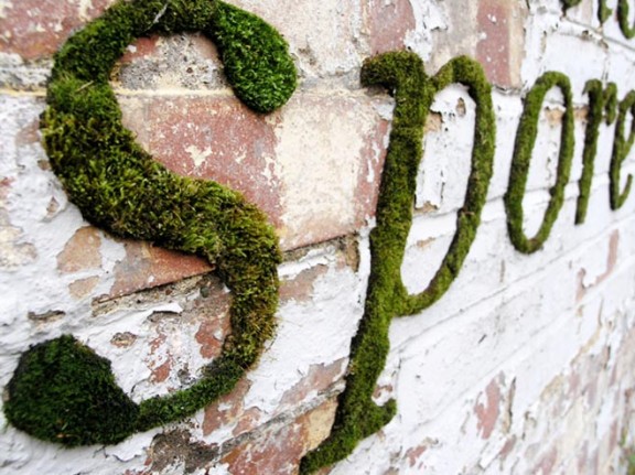 Moss Graffiti