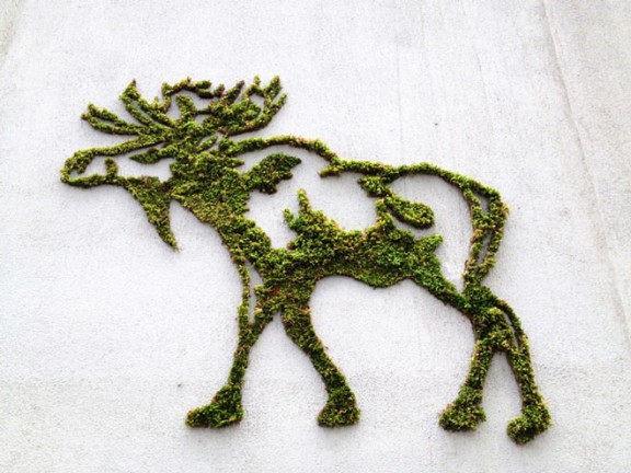 Moss Graffiti